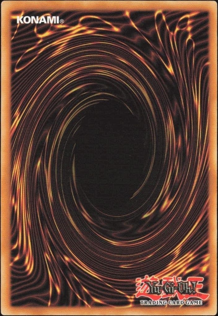 Twin Long Rods - Back