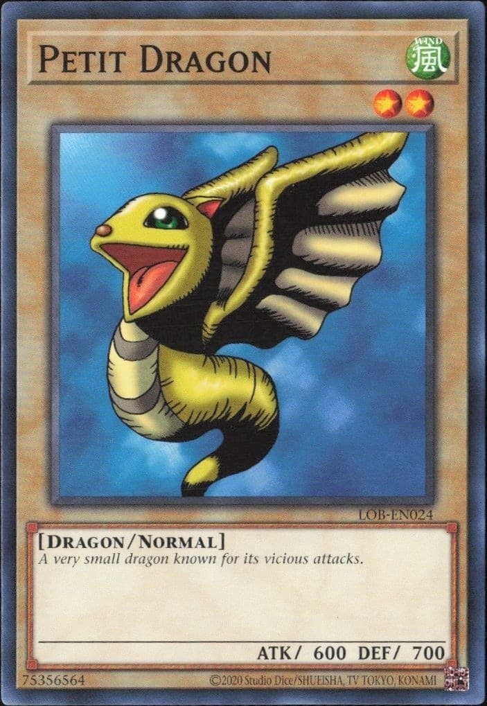 Petit Dragon - Front
