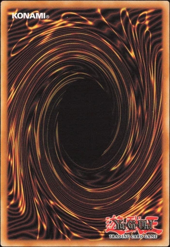 Master Of The Dark Scorpion - Back