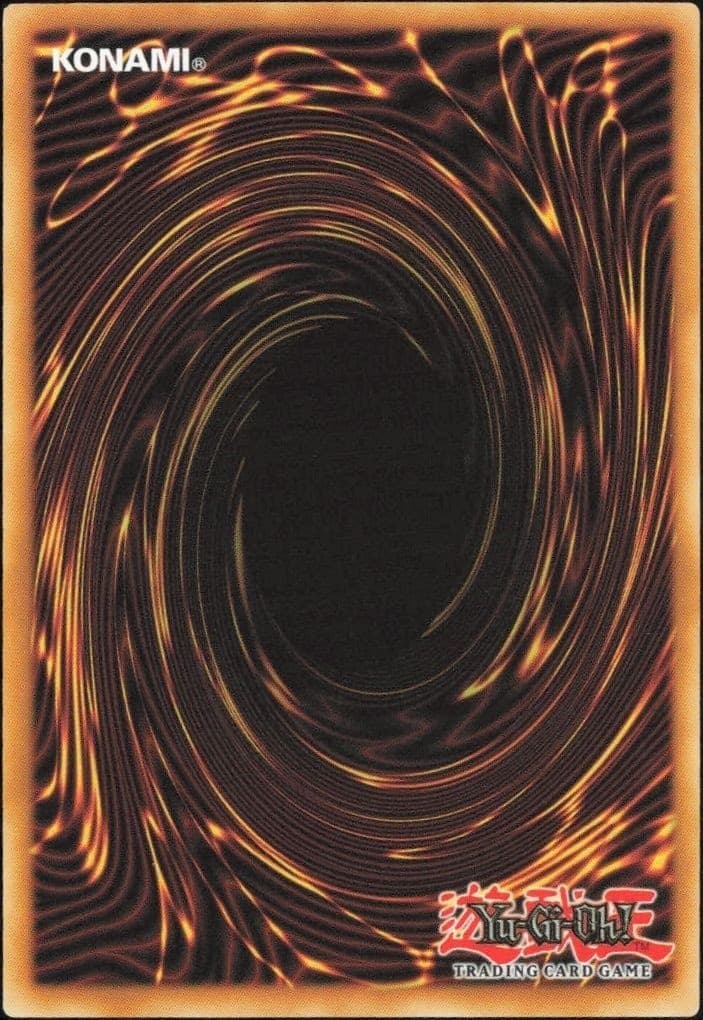 Dark Zebra - Back