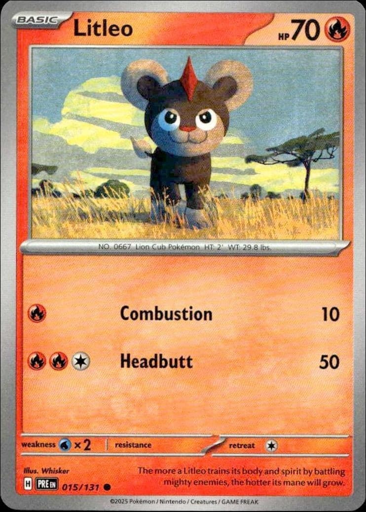 Litleo - Front