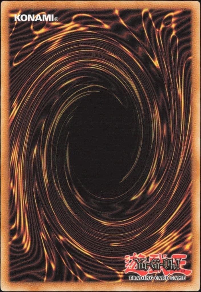 Enpress Judge - Back