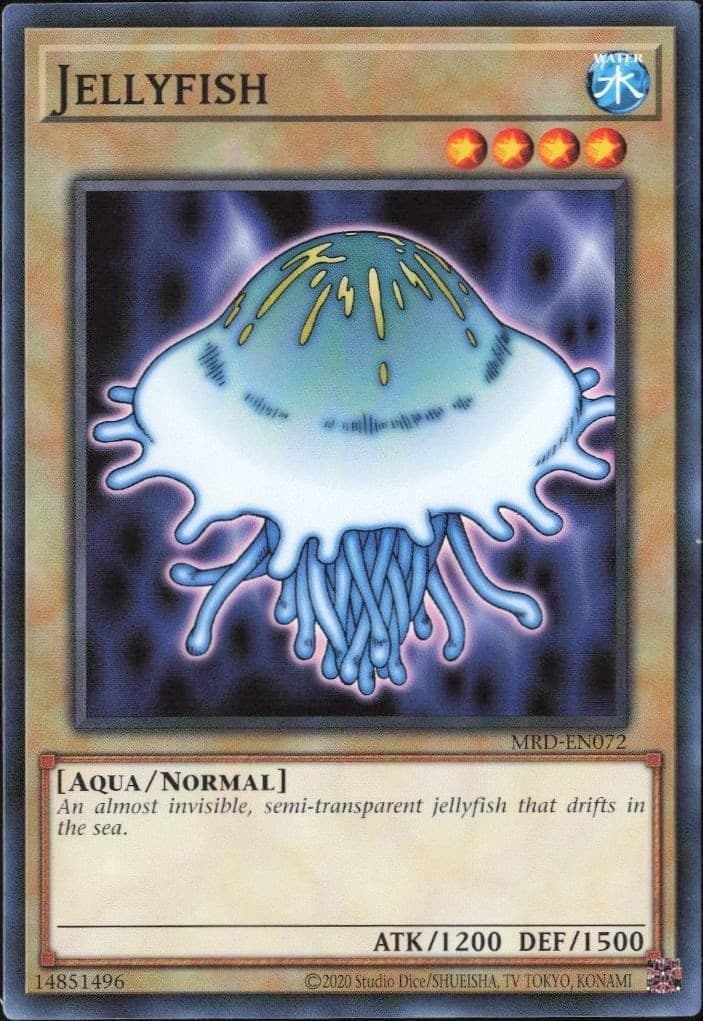 Jellyfish - Front