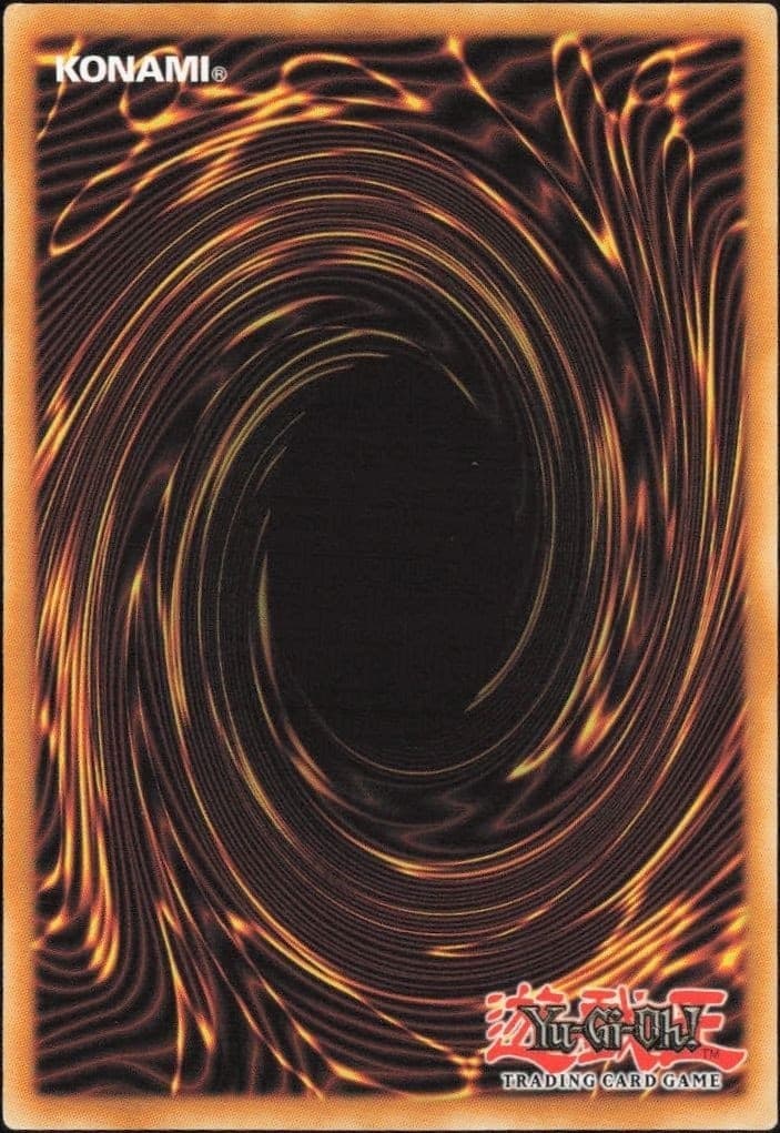 Cocoon of Evolution - Back