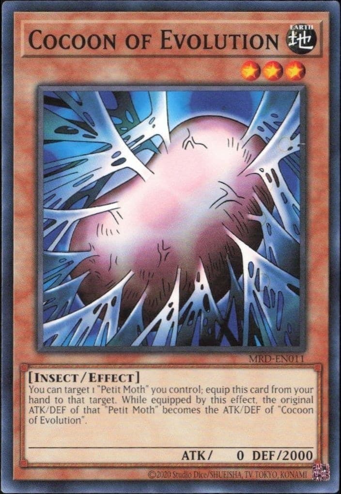 Cocoon of Evolution - Front