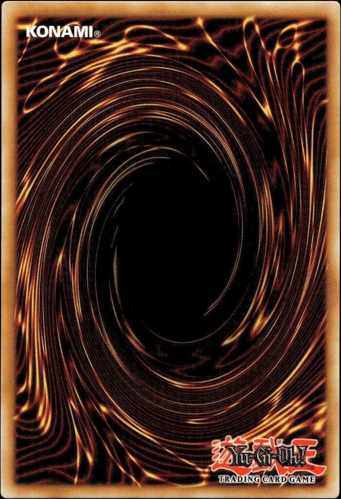 Hamon, Lord Of Striking Thunder - Back