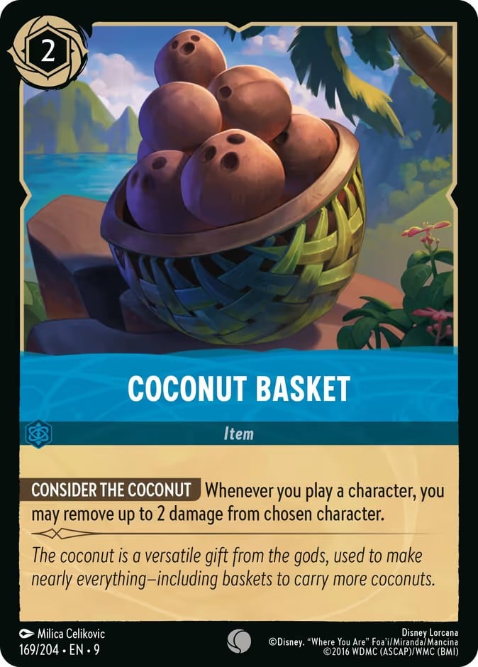 Coconut Basket Coconut Basket - Image 1