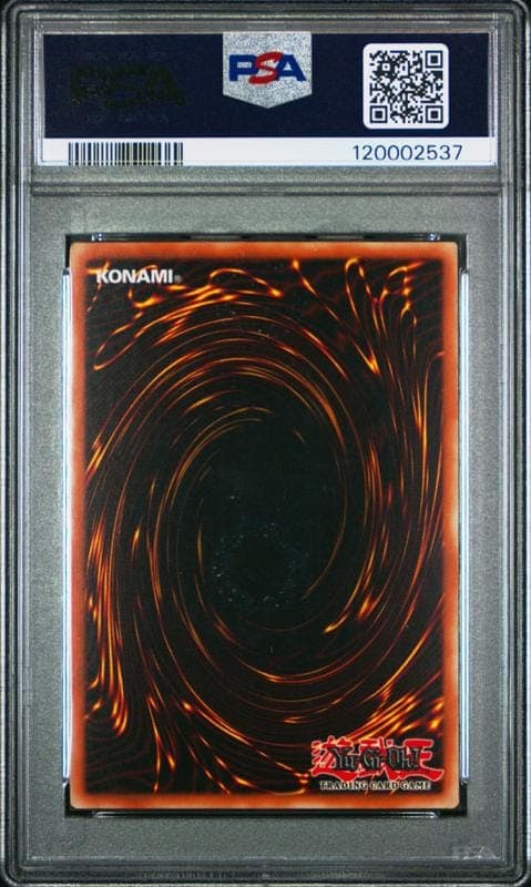 King's Knight - Back