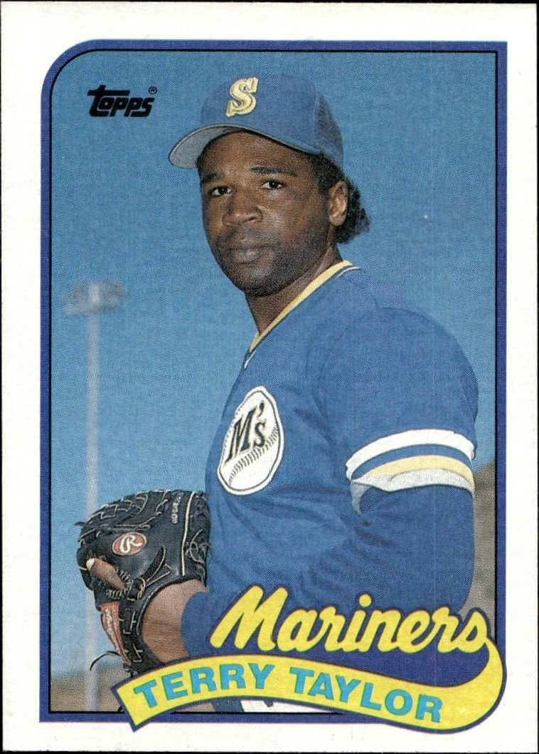 Terry Taylor 1989 Topps #597 Baseball Trading Card - Front 1989 Topps Terry Taylor #597 baseball trading card front