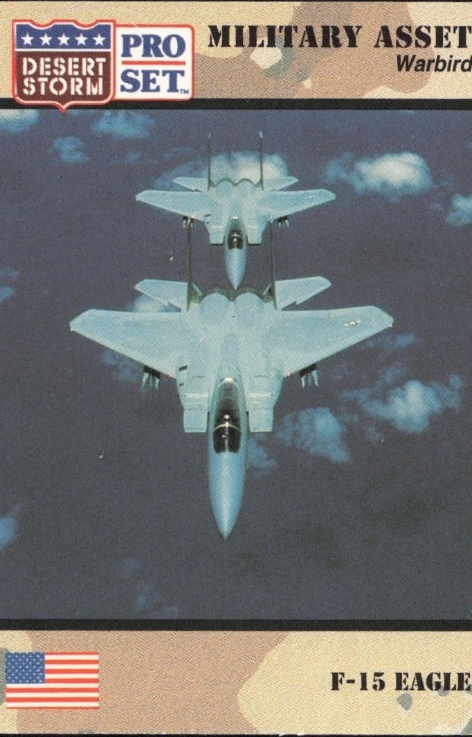 1991 Pro-Set Desert Storm F-15 Eagle #222 trading card