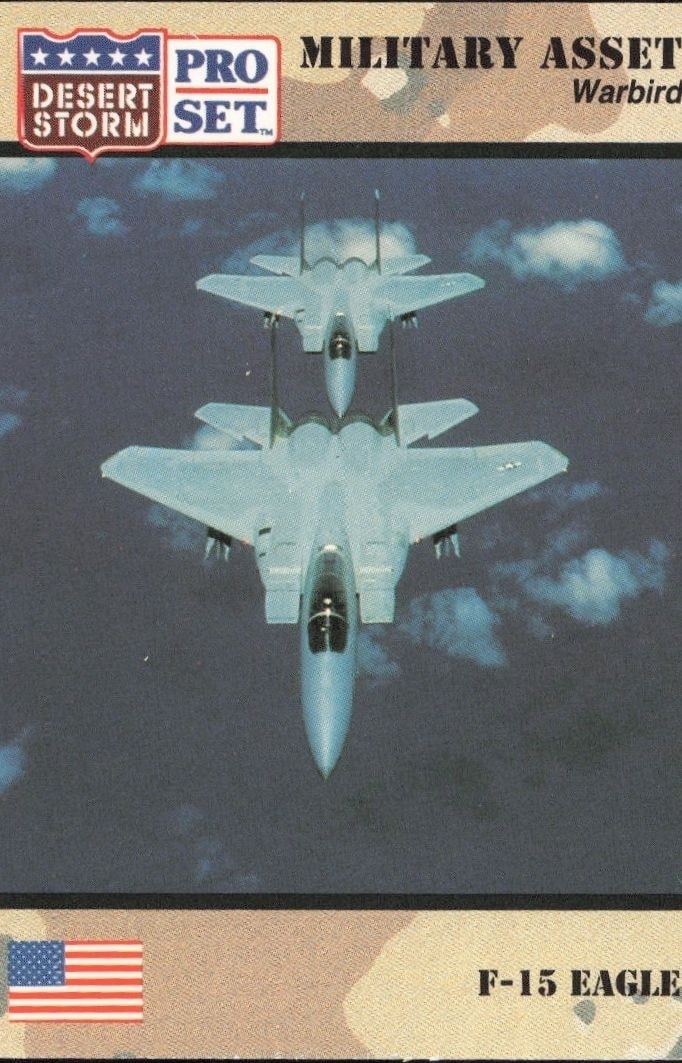 1991 Pro Set Desert Storm F-15 Eagle #222