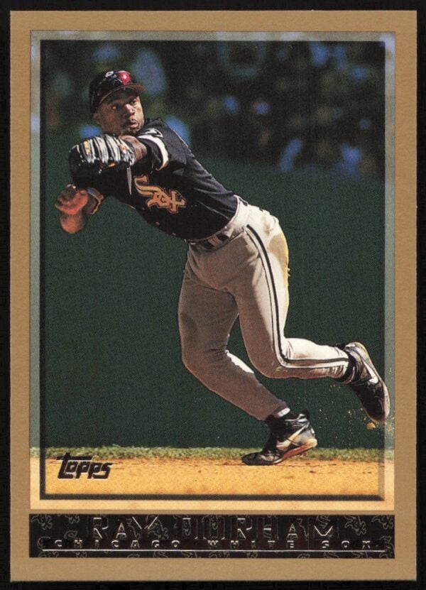 1998 Topps Ray Durham #383 (Front)