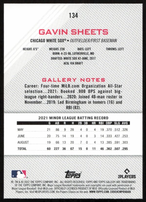 2022 Topps Gallery Gavin Sheets #134 (Back)