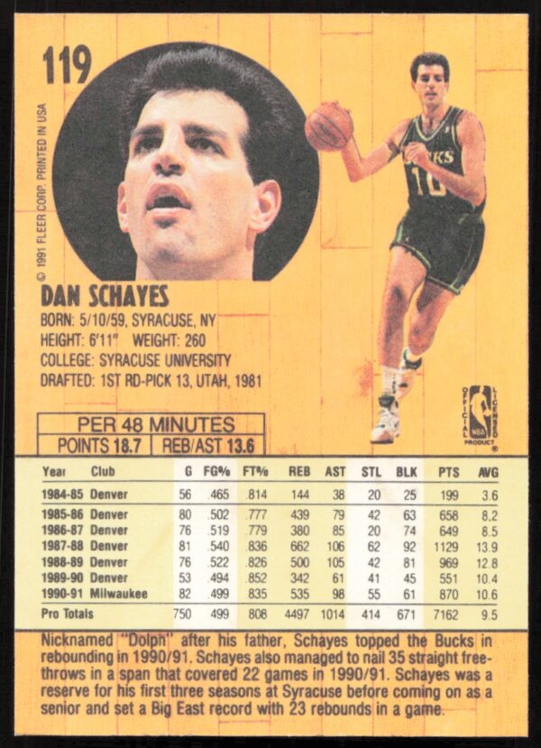 1991 Fleer Danny Schayes #119 (Back)