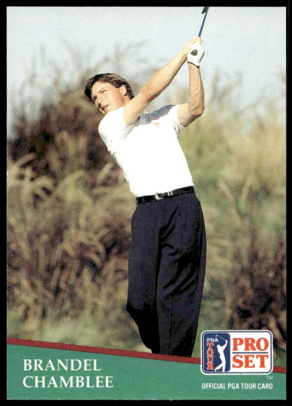 1991 Pro Set PGA Tour Brandel Chamblee #15 (Front)