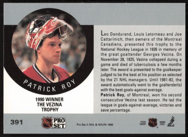 1990-91 Pro Set NHL The Vezina Trophy AW #391 (Back)