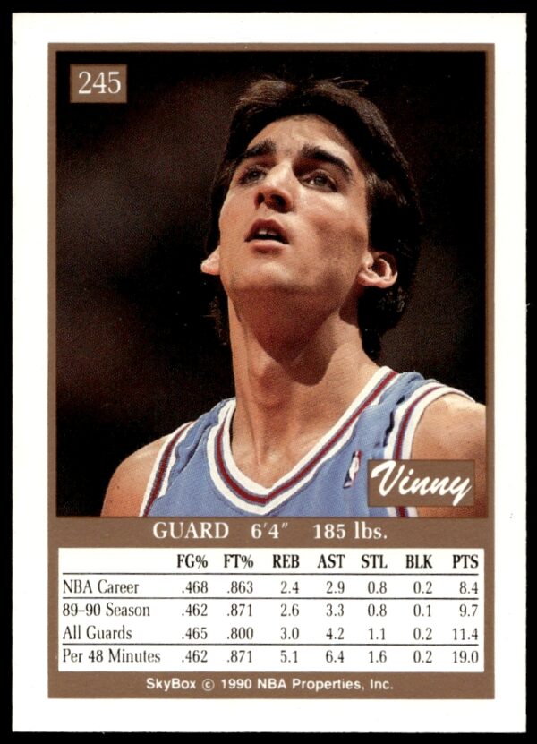 1990-91 SkyBox Vinny Del Negro #245 (Back)