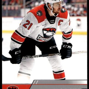 2021 Upper Deck AHL Zac Dalpe #48 (Front)