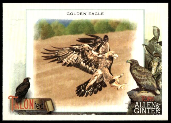 2023 Topps Allen & Ginter Golden Eagle Talonted #TT-9 (Front)