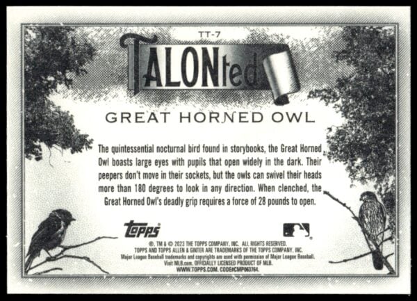 2023 Topps Allen & Ginter Great Horned Owl Talonted #TT-7 (Back)