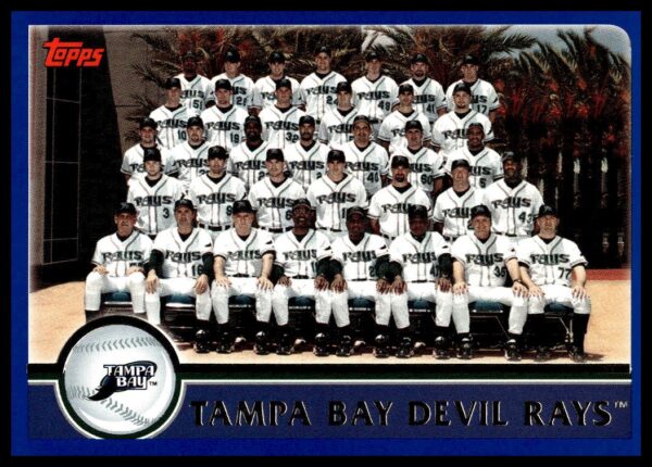 2003 Topps Tampa Bay Devil Rays #657 (Front)