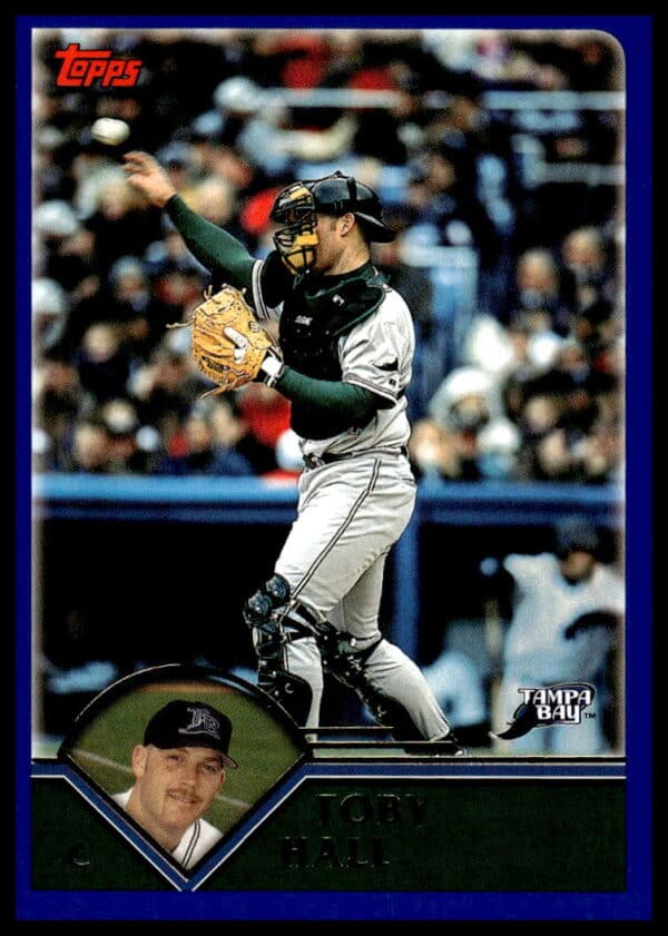 2003 Topps Toby Hall #534 (Front)