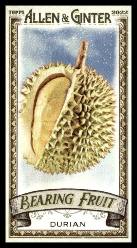 2022 Topps Allen & Ginter Durian Bearing Fruit Mini #BF-4 (Front)